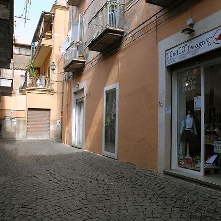 Willa Loft 17 Albano Laziale Zewnętrze zdjęcie